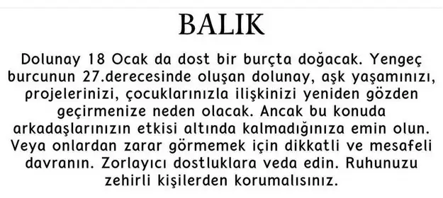 yengeç15 (13).webp