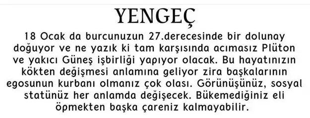 yengeç15 (5).webp