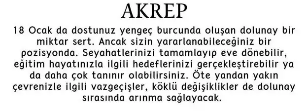 yengeç15 (9).webp