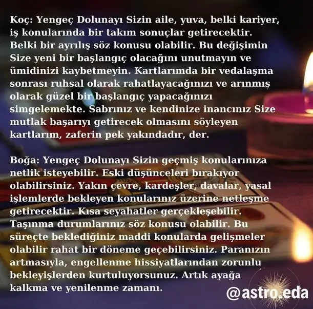 yengeç16 (2).webp