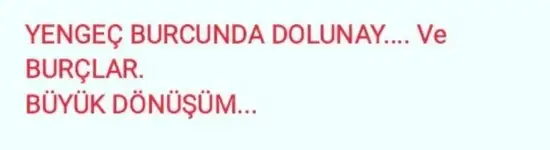 yengeç18 (1).webp