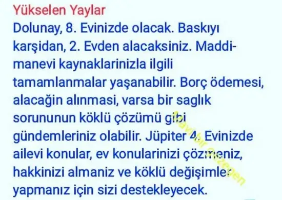 yengeç18 (10).webp