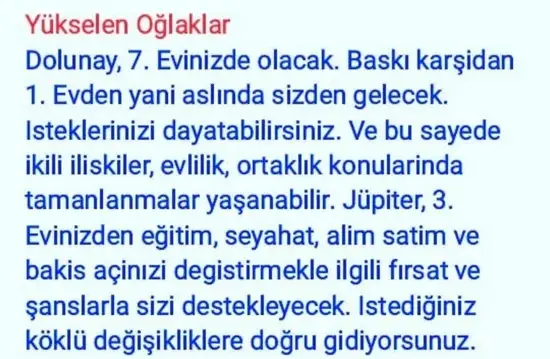 yengeç18 (11).webp