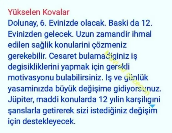 yengeç18 (12).webp