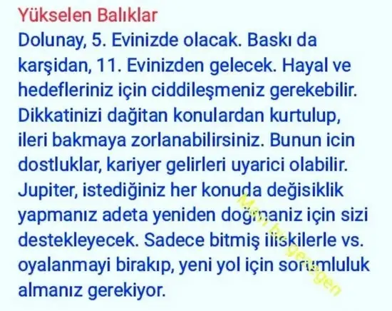 yengeç18 (13).webp