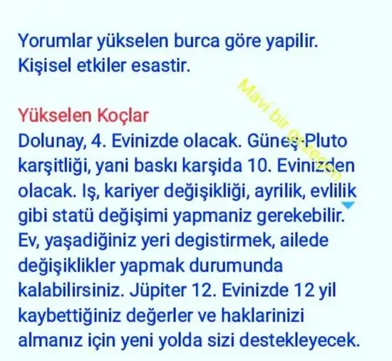 yengeç18 (2).webp