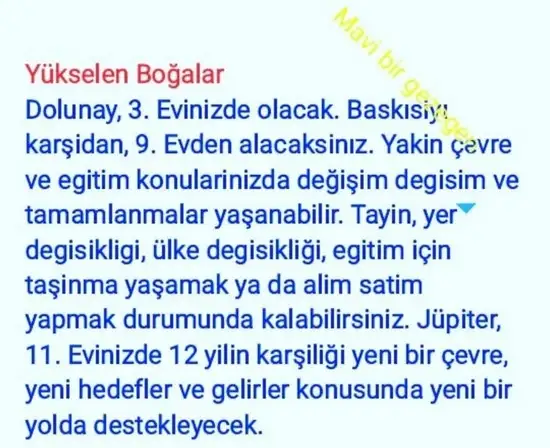 yengeç18 (3).webp