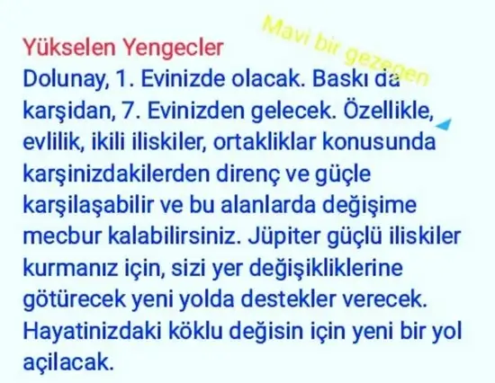 yengeç18 (5).webp