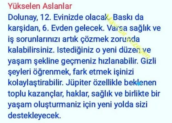 yengeç18 (6).webp