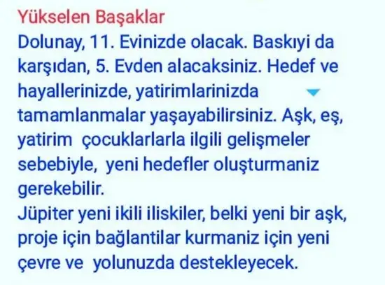 yengeç18 (7).webp