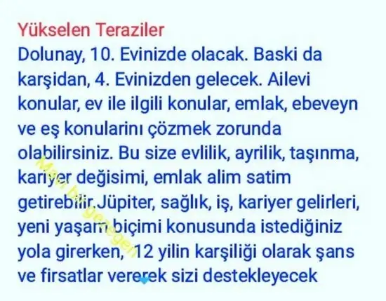 yengeç18 (8).webp