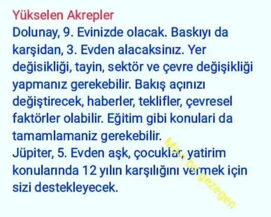 yengeç18 (9).webp