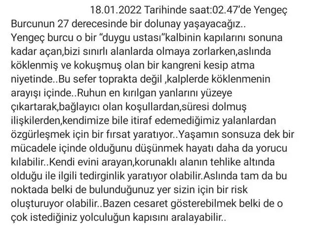 yengeç19 (2).webp