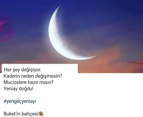 yengeç22.webp