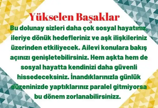 yengeç25 (6).webp