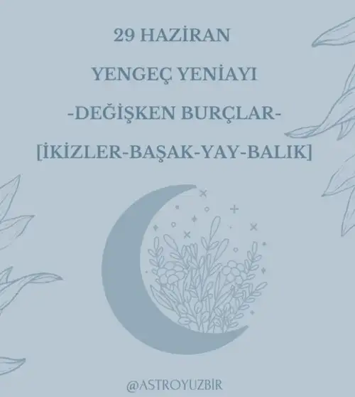 yengeç3 (1).webp