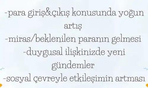 yengeç3 (2).webp