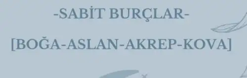 yengeç3 (3).webp
