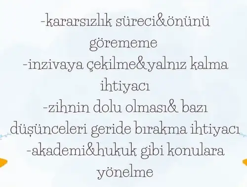 yengeç3 (4).webp
