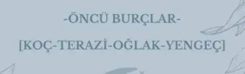 yengeç3 (5).webp