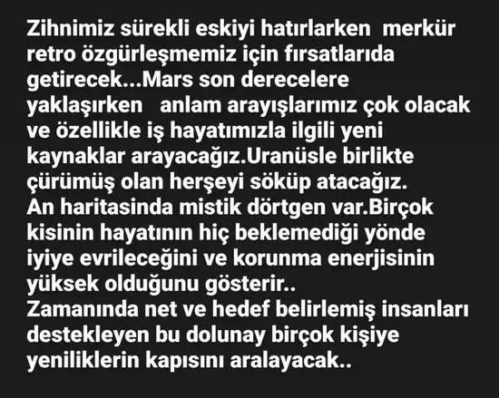 yengeç33 (3).webp