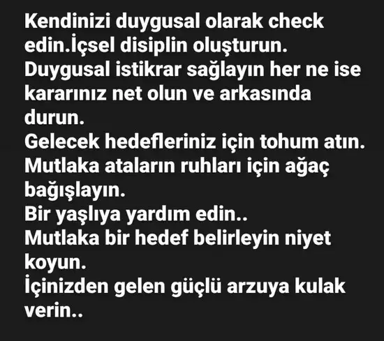 yengeç33 (4).webp