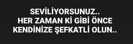 yengeç33 (5).webp