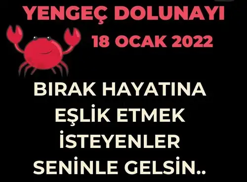 yengeç36 (2).webp