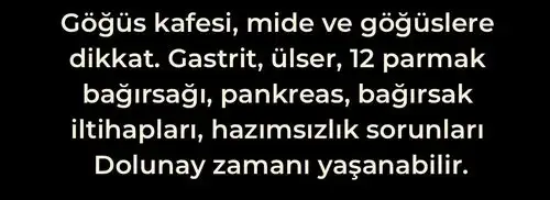 yengeç36 (3).webp