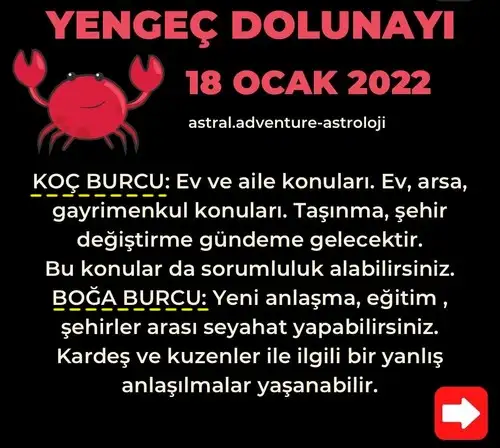 yengeç36 (4).webp