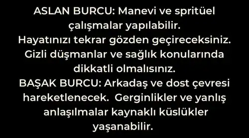 yengeç36 (6).webp