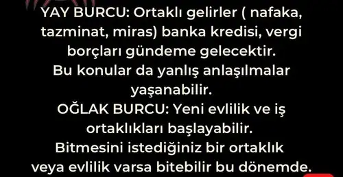yengeç36 (8).webp