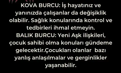 yengeç36 (9).webp