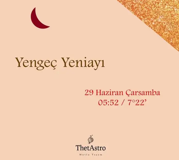 yengeç4 (1).webp