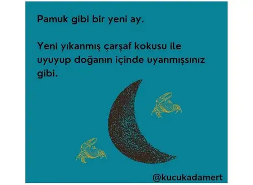 yengeç5.webp