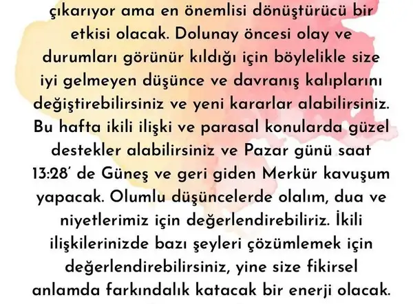 yengeç6 (11).jpg