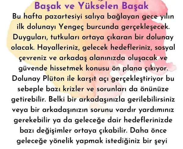 yengeç6 (12).jpg