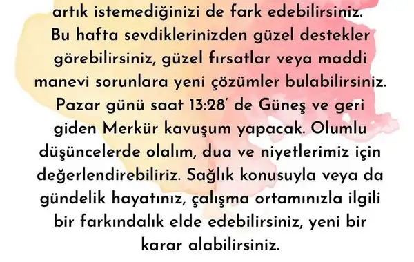 yengeç6 (13).jpg