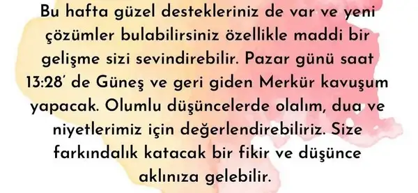 yengeç6 (15).jpg