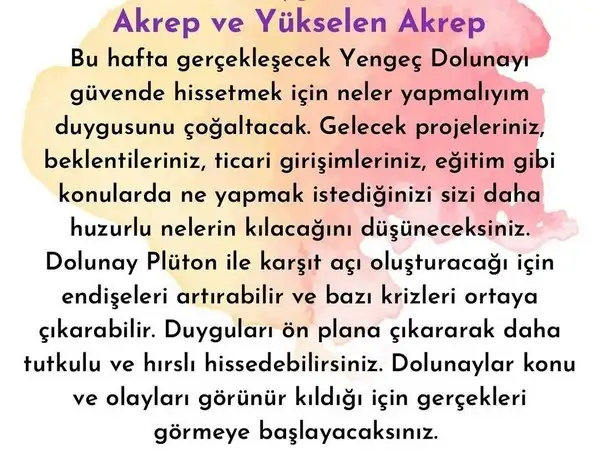 yengeç6 (16).jpg