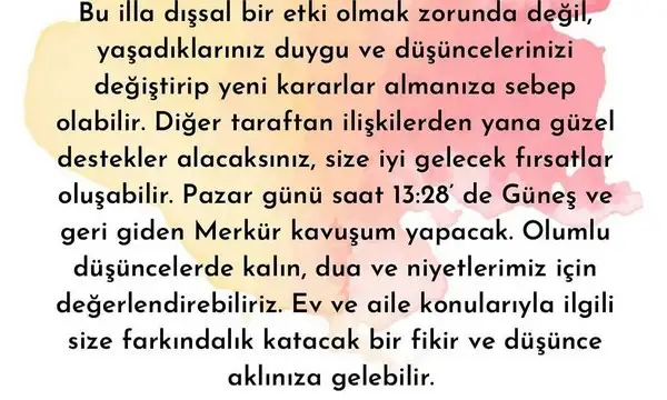 yengeç6 (17).jpg