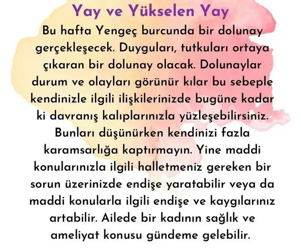 yengeç6 (18).jpg