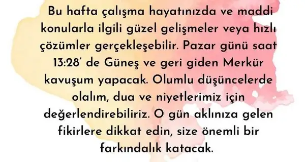 yengeç6 (19).jpg