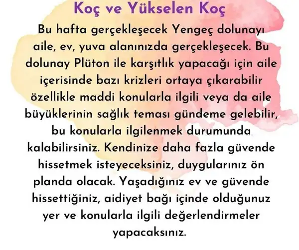 yengeç6 (2).jpg