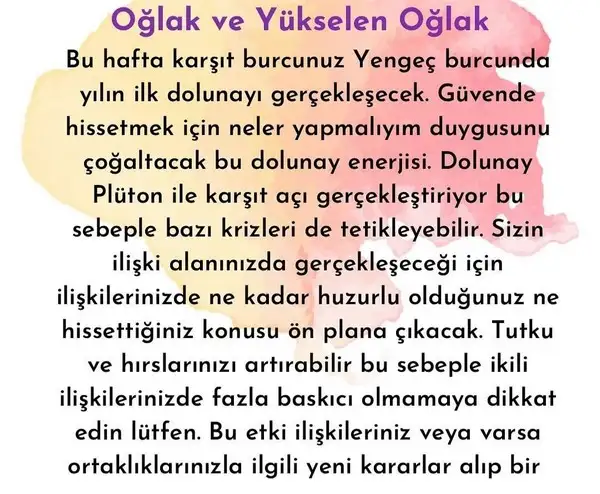 yengeç6 (20).jpg