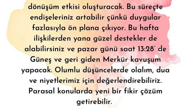 yengeç6 (21).jpg