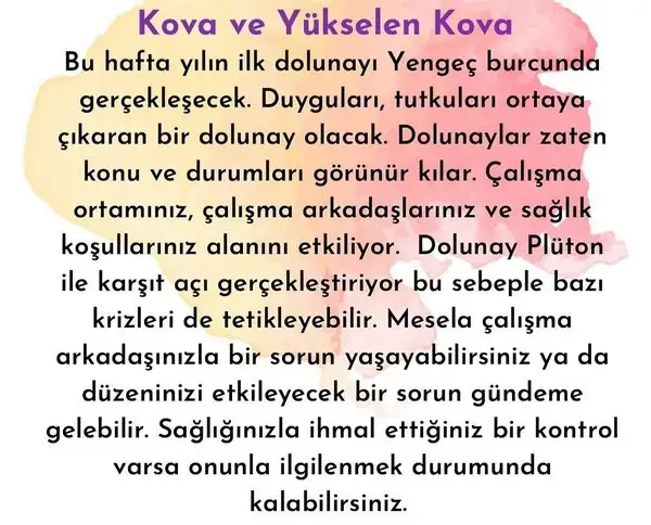 yengeç6 (22).jpg