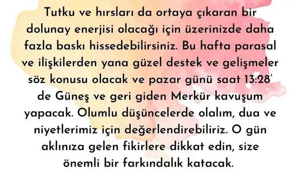 yengeç6 (23).jpg
