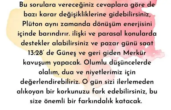 yengeç6 (25).jpg