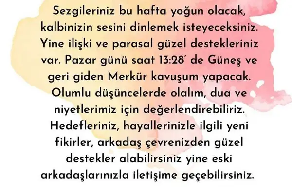 yengeç6 (3).jpg
